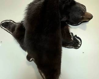 Taxidermied black bear rug.