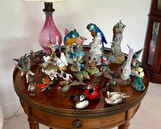 Beautiful collection of different types of birds