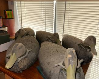 Duck Decoys