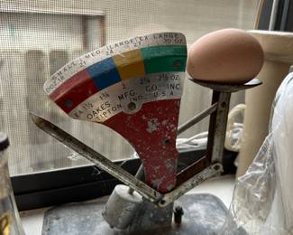 Egg Measure