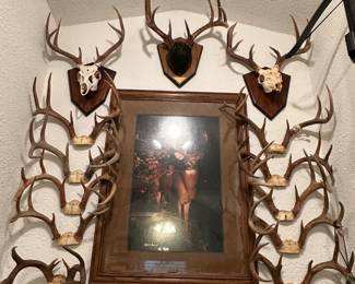Antler Mounts