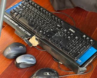 Keyboard and mouse