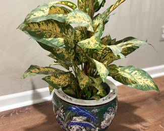 Chinese planter and plant