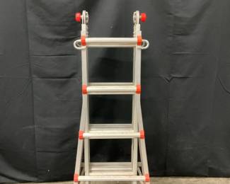 Little Giant Ladder