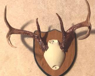 102 - Deer Mount - 15" x 12"