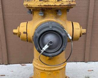 Fire Hydrant! The Real Deal!! * Heavy