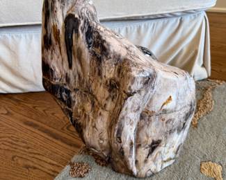 Large polished petrified wood agate crystal fossil