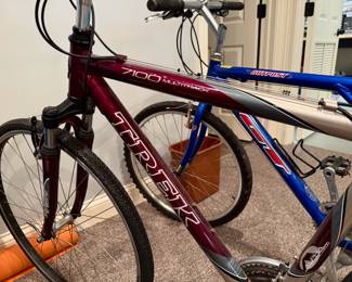 Trek bike
