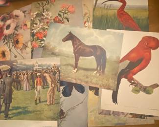 Chicago Tribune Chromolithographs (1902)
