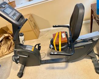 Horizon RC-30 recumbent cycle
