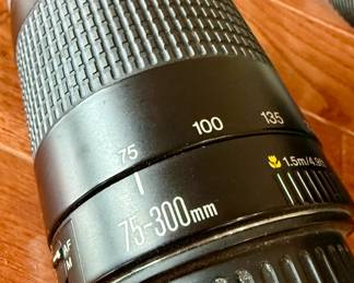 Tiffin Canon zoom lens