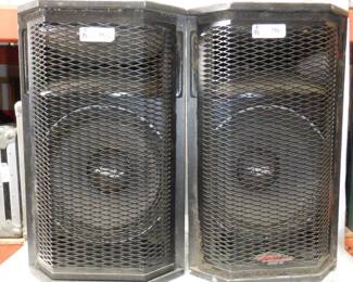 LOT OF 2 APOGEE AE-5 SPEAKERS