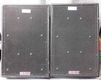 LOT OF 2 EAW SM122E STAGE MONITORS