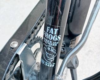 fat frog beach cruiser. really nice bikes