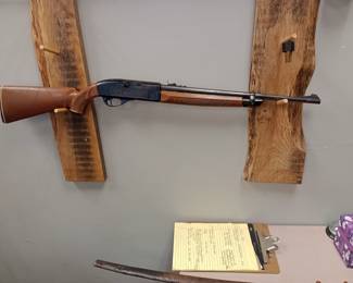 crossman 766 bbgun 