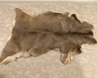 Tanned Deer Hide