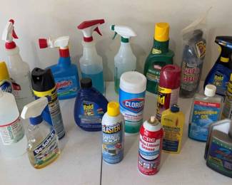 Mystery Cleaning Lot