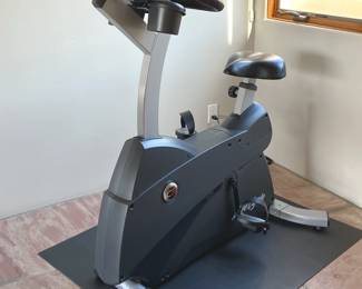 Life Fitness Life Cycle