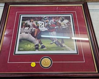 FRAMED ALABAMA PICTURE