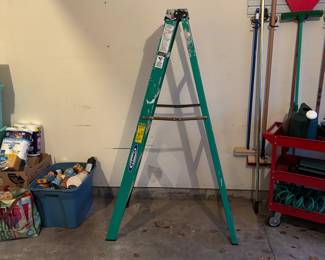Werner 6-Foot Step Ladder