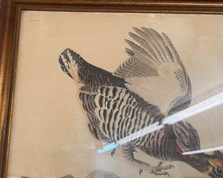 Antique Framed JJ Audubon No: 38  Pinnated Grous 1834 R Havell  