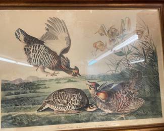 Antique Framed JJ Audubon No: 38  Pinnated Grous 1834 R Havell  