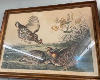 Antique Framed JJ Audubon No: 38  Pinnated Grous 1834 R Havell  