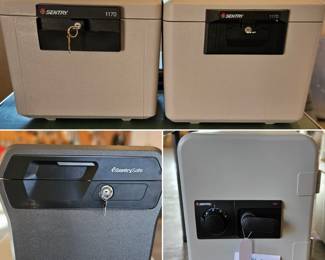 Sentry Safe - lots of choices