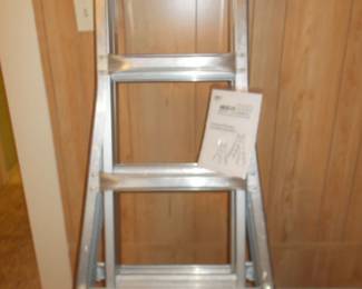 Multi ladder