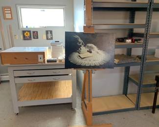Light boxes, storage shelving