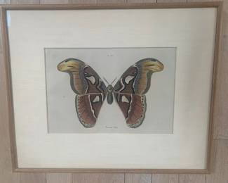 Antique etching