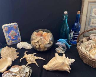 Seashell Decor And More
