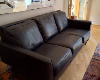 Room and Board Sleeper Sofa