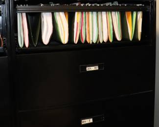 Item 22.1 5 drawer File Cabinet