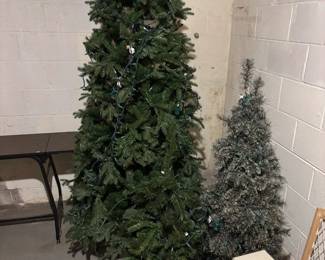Christmas Trees