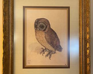 The Little Owl Albrecht Durer Ornate framed print-repro
