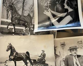 American Saddlebred horse ephemera
