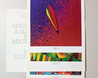 Photographs by Phillip Harrington