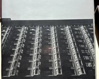 Lost Chicago by David Garrard Lowe, Publisher: Houghton Mifflin