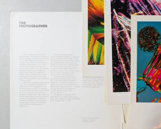 Photographs by Phillip Harrington