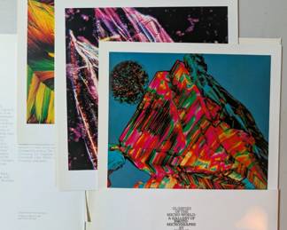 Photographs by Phillip Harrington