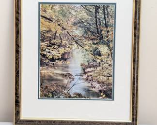 Framed photography of river seen through trees in autumn 