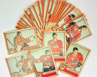 Rockford Icehogs hocky player trading cards