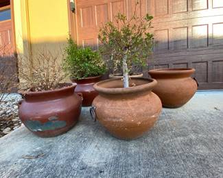 Potted plants in large terra-cotta pots