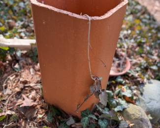 Planters