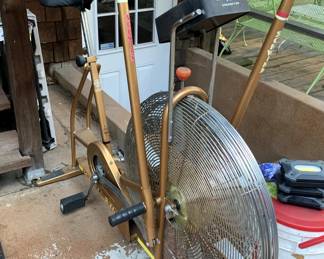 Schwinn Air-Dye Exercise Bike
