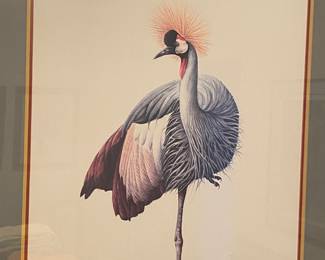 Framed Black Crowned Crane Print