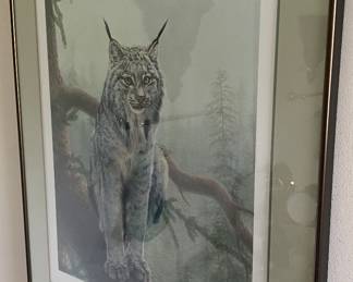 Signed Charles Frace' "Canada Lynx" Print