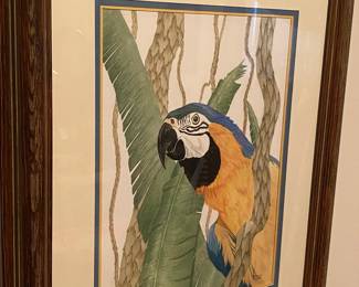 Patricia Snyder Macaw Painting