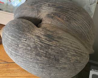 Large Nut from Coco de Mer